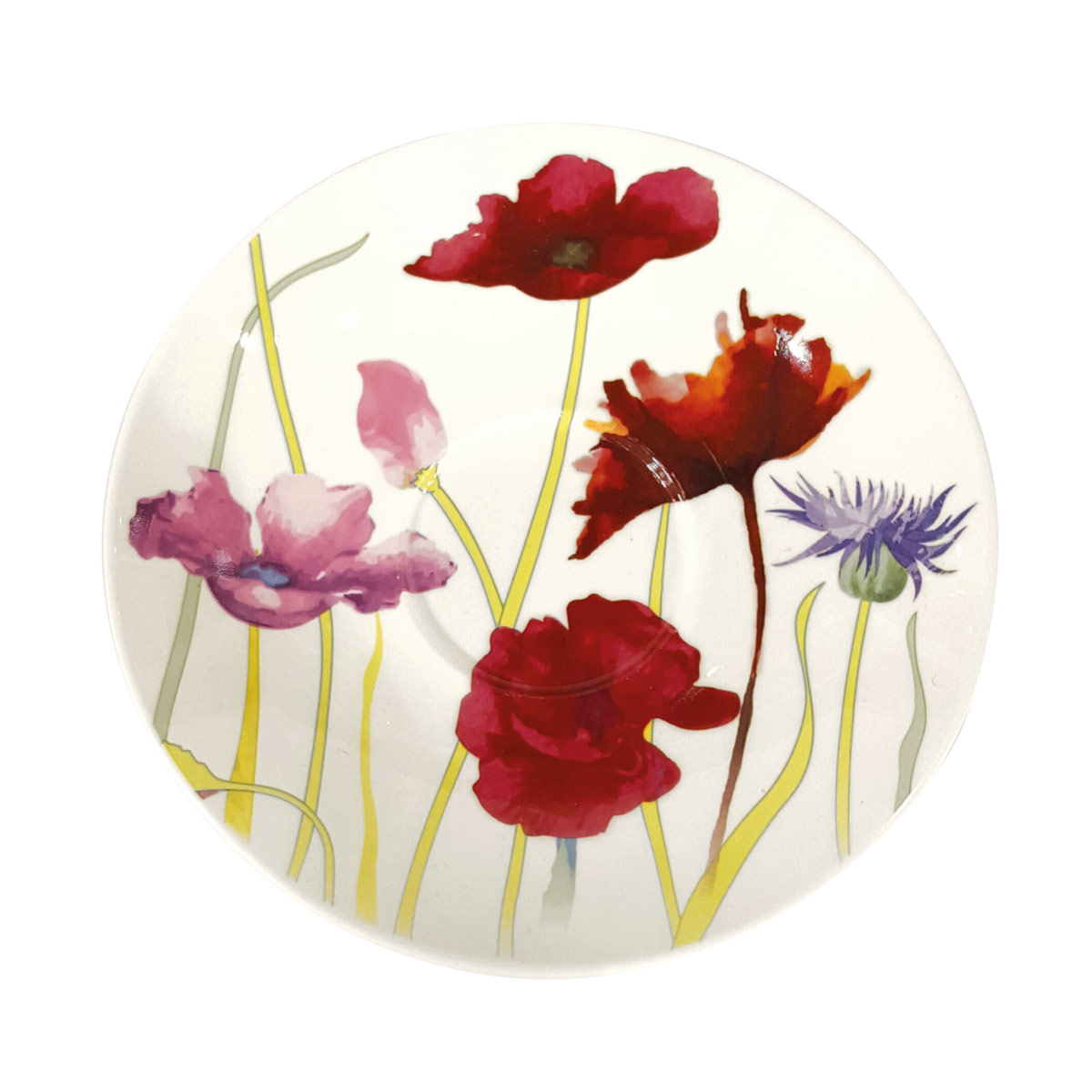 Teller Brillantporzellan - Klassik 17,5cm 46285702-5FB2-4387-9428-716BF41CE234.jpg