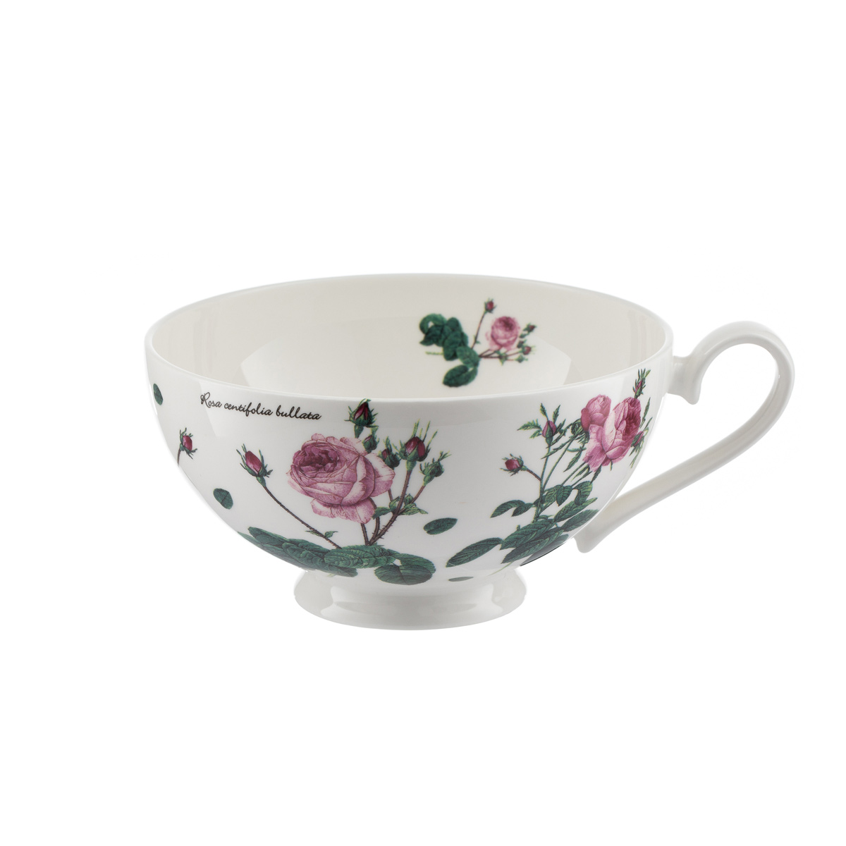 Teetasse Brillantporzellan - Klassik 0,3l D3E626D0-720C-46C4-B8A5-F2F1AE9FF93E.jpg